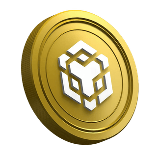 La page du guide pour débutants en trading affichant la cryptomonnaie BNB
